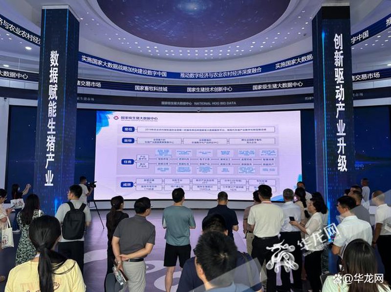 重庆大数据：智慧之光照亮信息时代